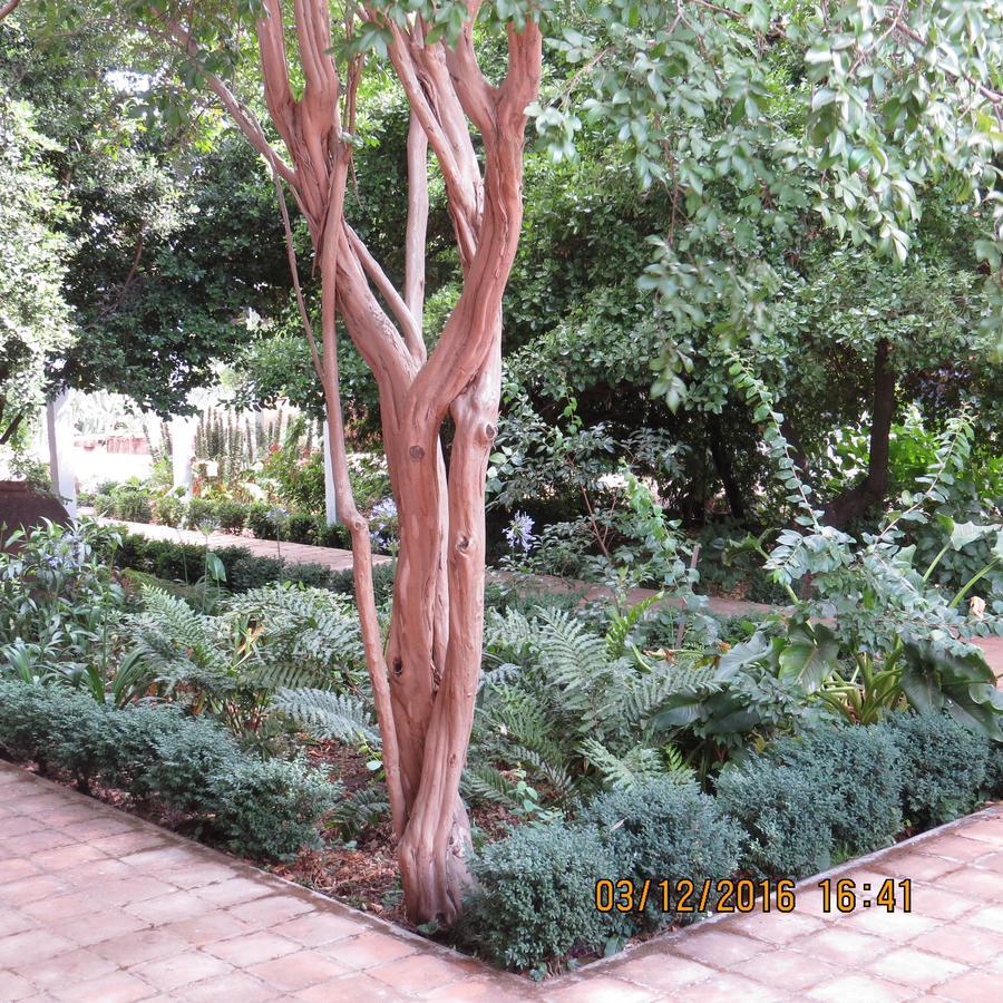 Hotel Boutique Quinta Maria Santa Cruz Kültér fotó