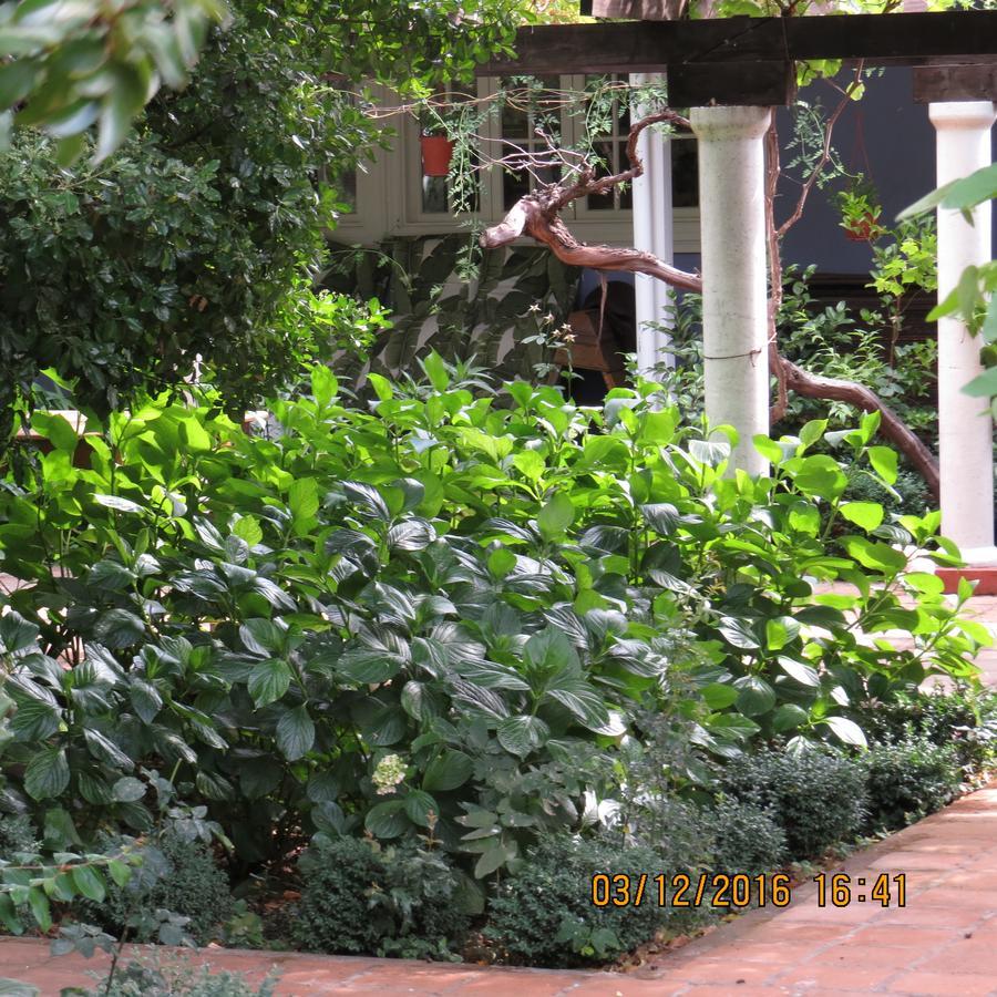 Hotel Boutique Quinta Maria Santa Cruz Kültér fotó