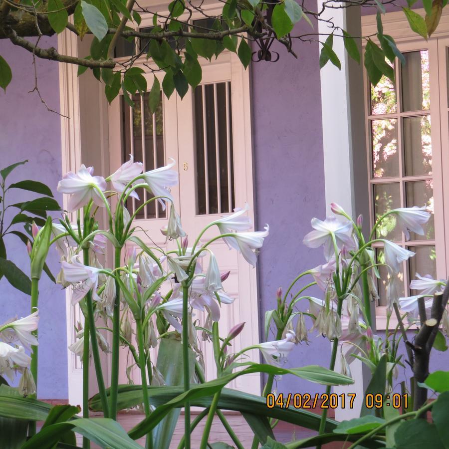Hotel Boutique Quinta Maria Santa Cruz Kültér fotó