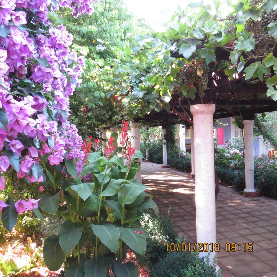 Hotel Boutique Quinta Maria Santa Cruz Kültér fotó