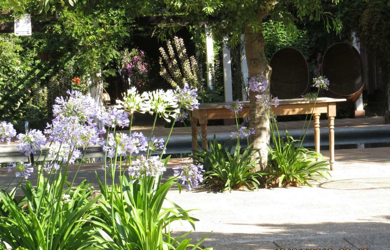 Hotel Boutique Quinta Maria Santa Cruz Kültér fotó