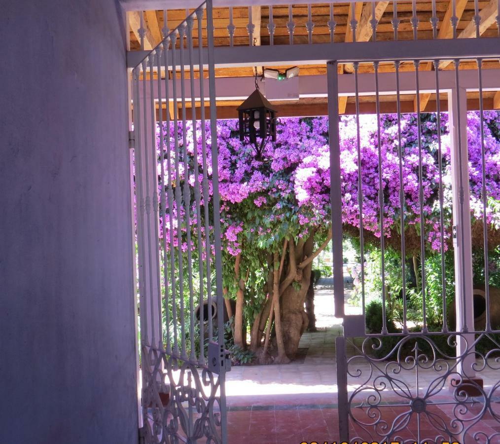 Hotel Boutique Quinta Maria Santa Cruz Kültér fotó